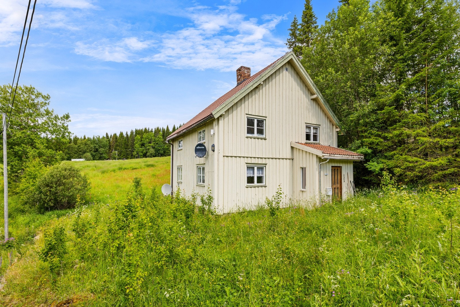 _20A6388 Galleribilde