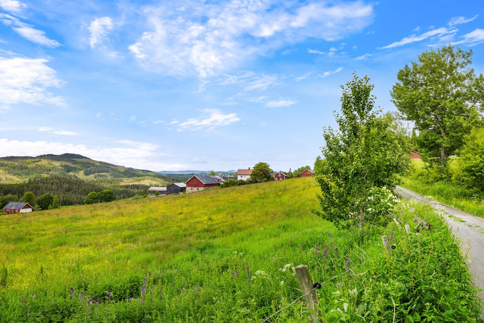 _20A6391 Galleribilde