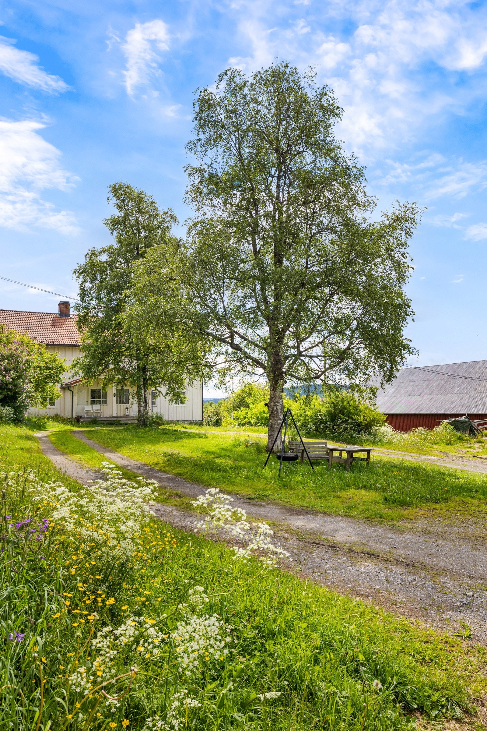 _20A6409 Galleribilde