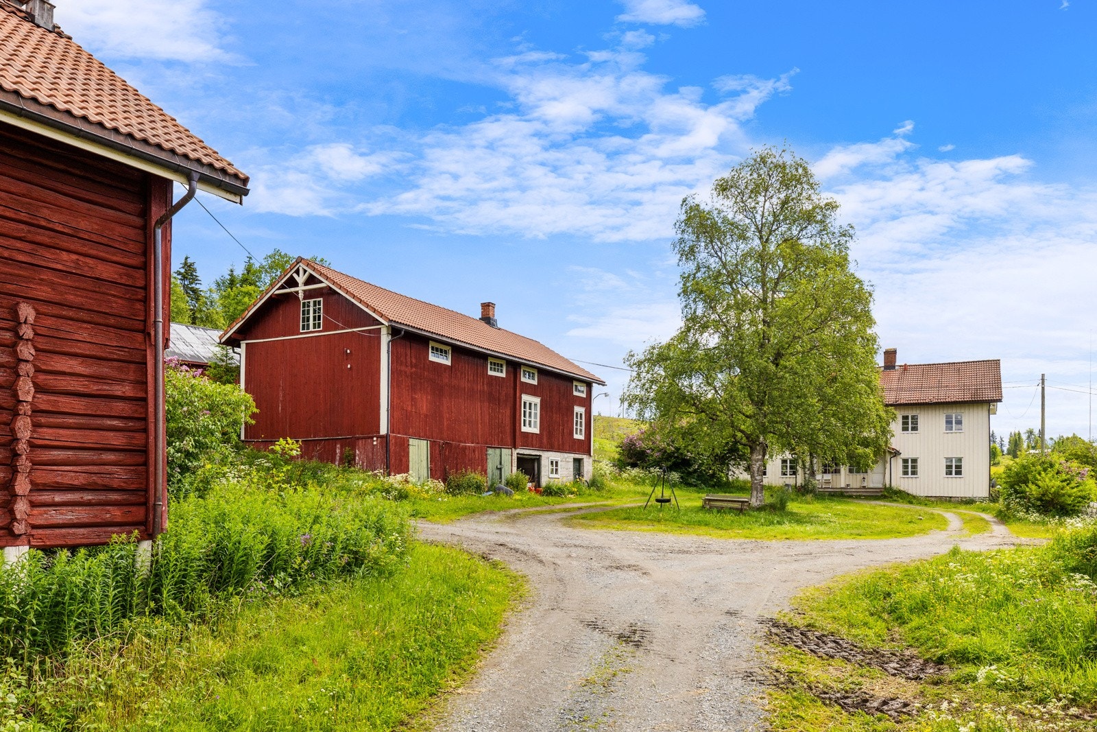 _20A6394 Galleribilde