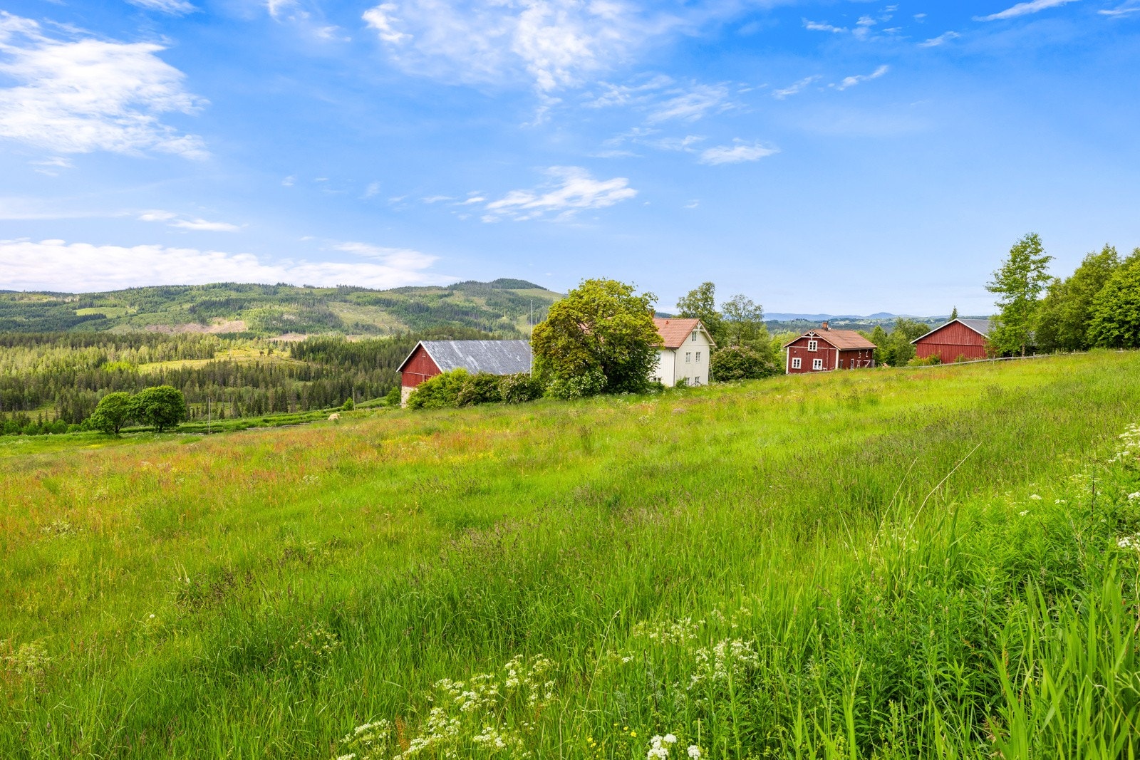 _20A6392 Galleribilde