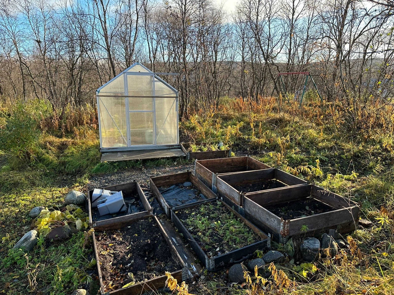 Drivhus Galleribilde