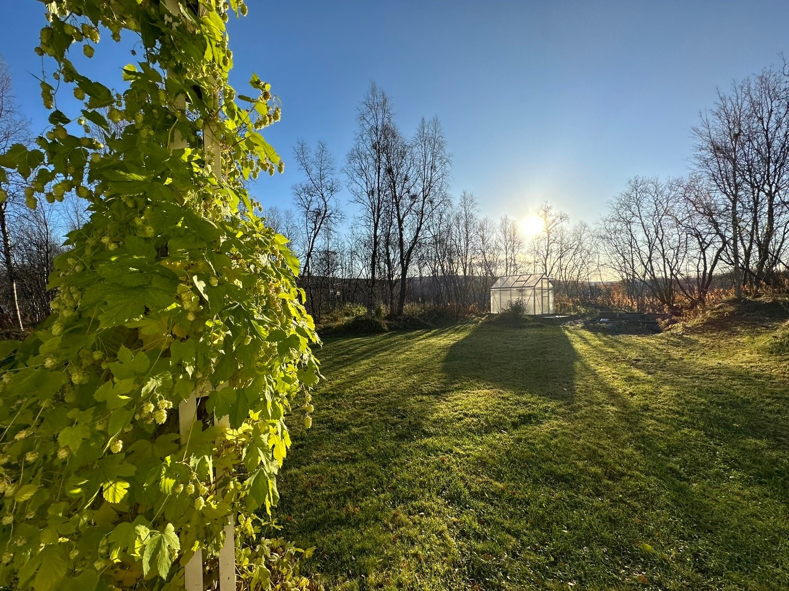 Flott ute område Galleribilde