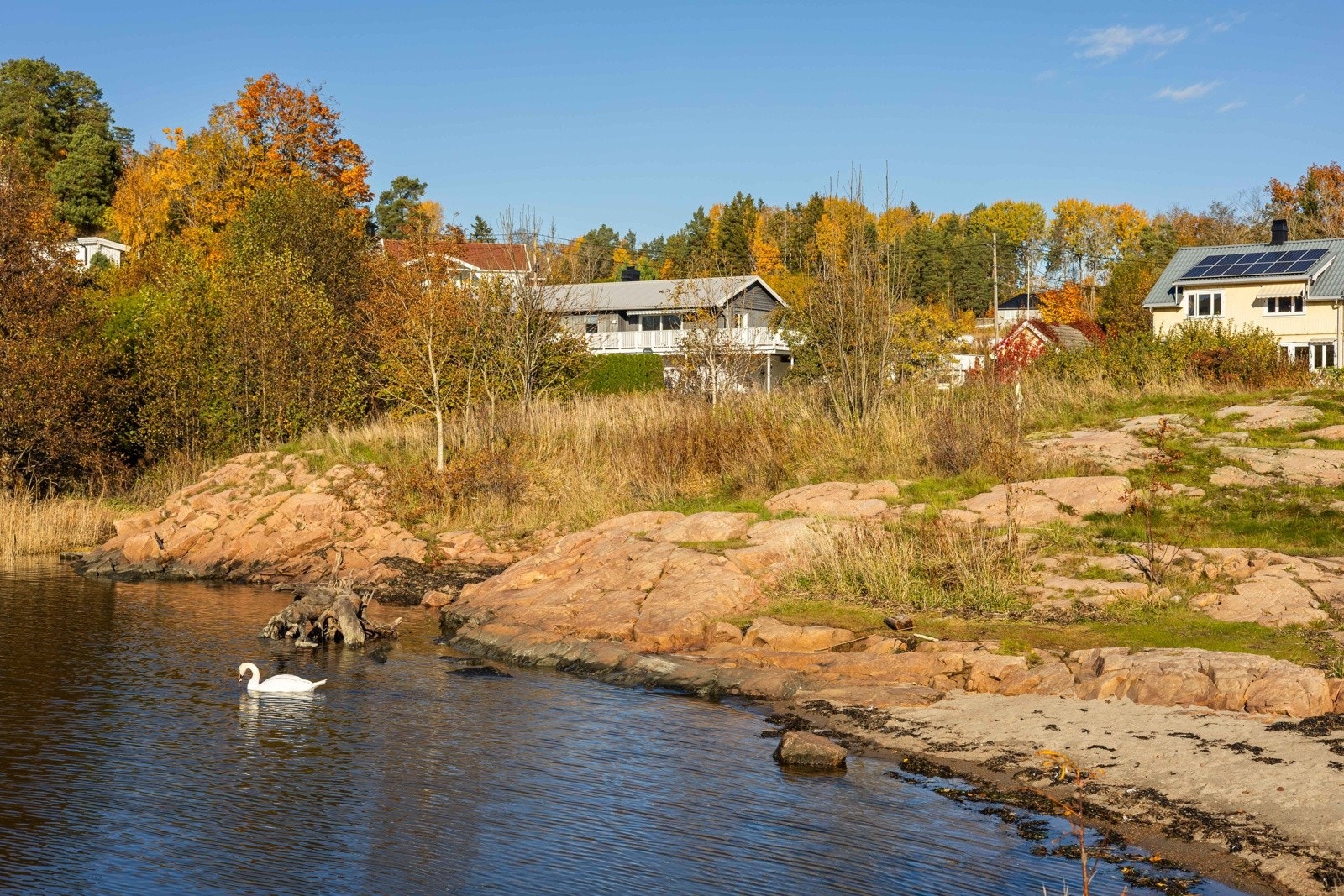 Sjønært og idyllisk. Kort vei fra eiendommen til svaberg og strand, perfekt for bading og rekreasjon. Galleribilde