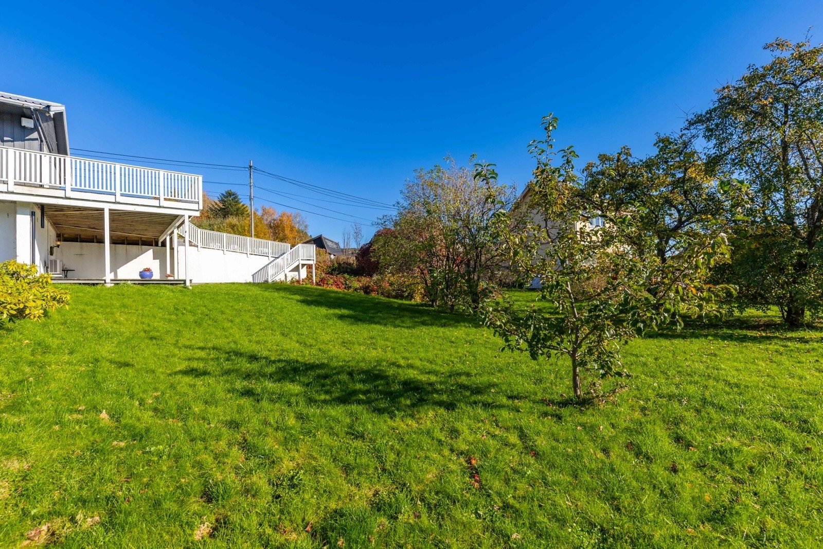 Stor og solrik hage. Flott uteområde med plen, frukttrær og god plass til lek og aktivitet. Galleribilde