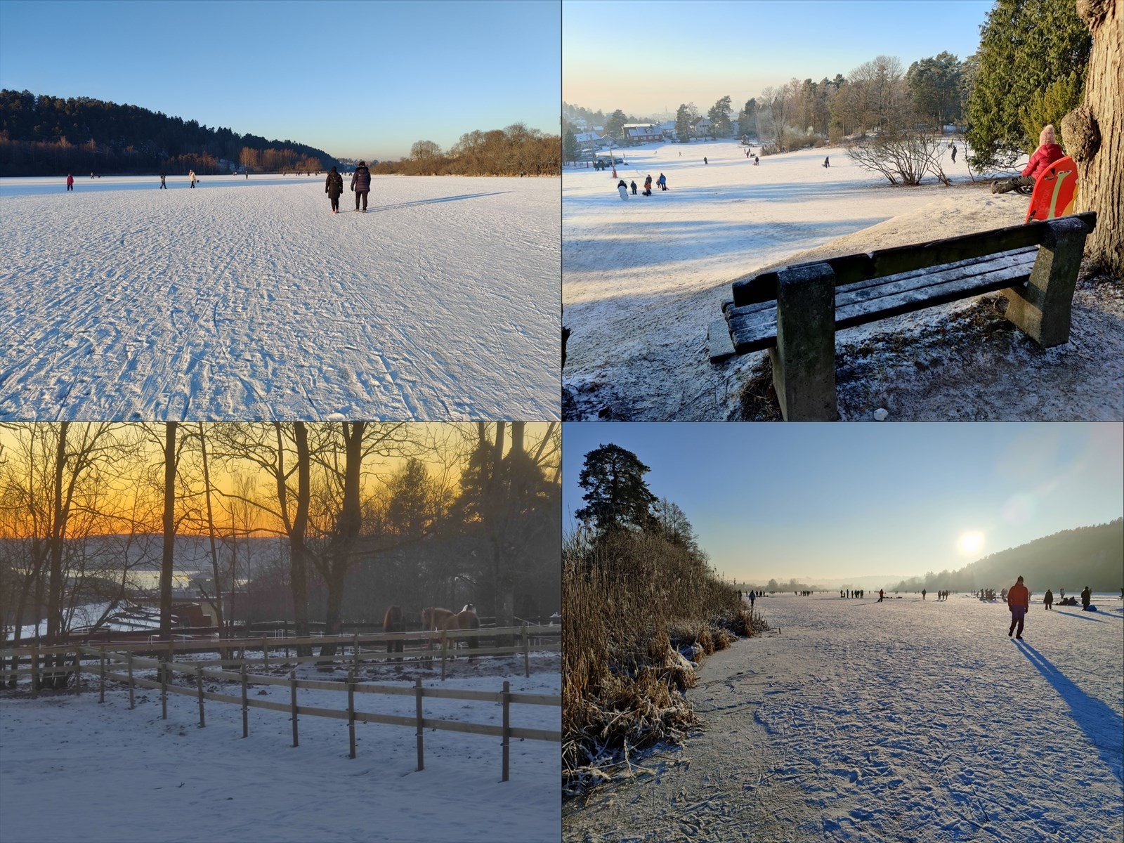 Nærområdet byr på flotte muligheter og opplevelser, sommer som vinter. Galleribilde