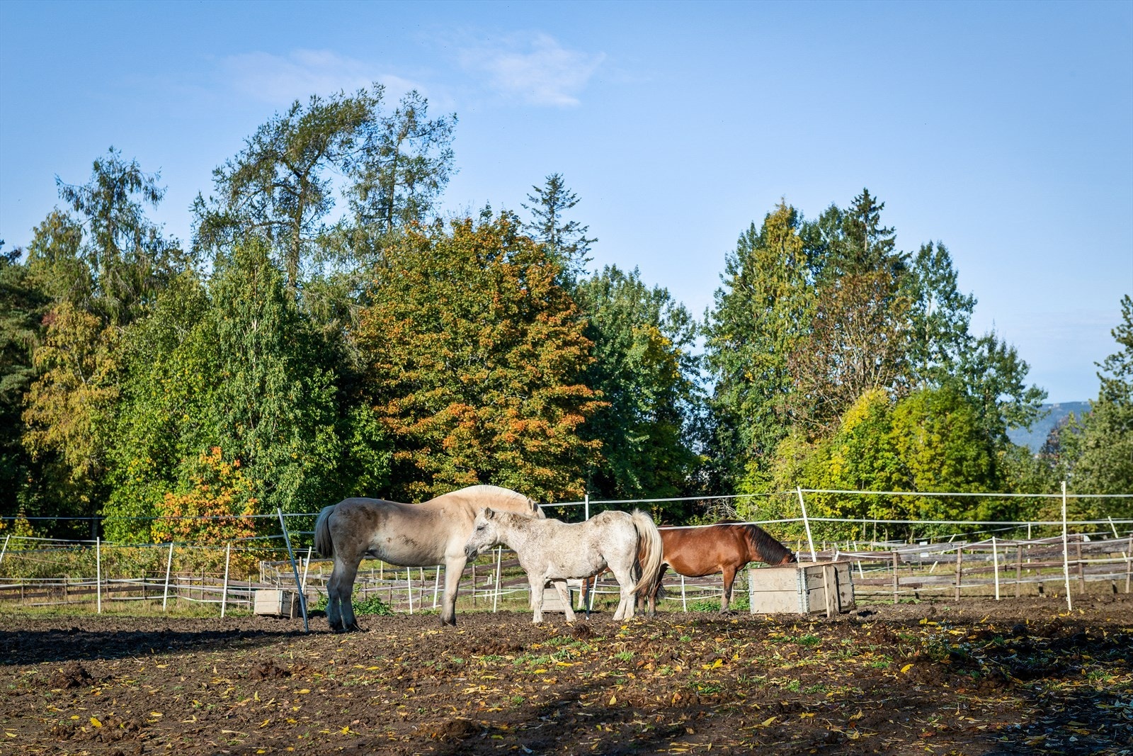 Tveten gård ligger i nabolaget, og her finnes både søndagskafé og et omfangsrikt kulturliv, noe som gjør gården til et fint møtested for alle aldre. Galleribilde