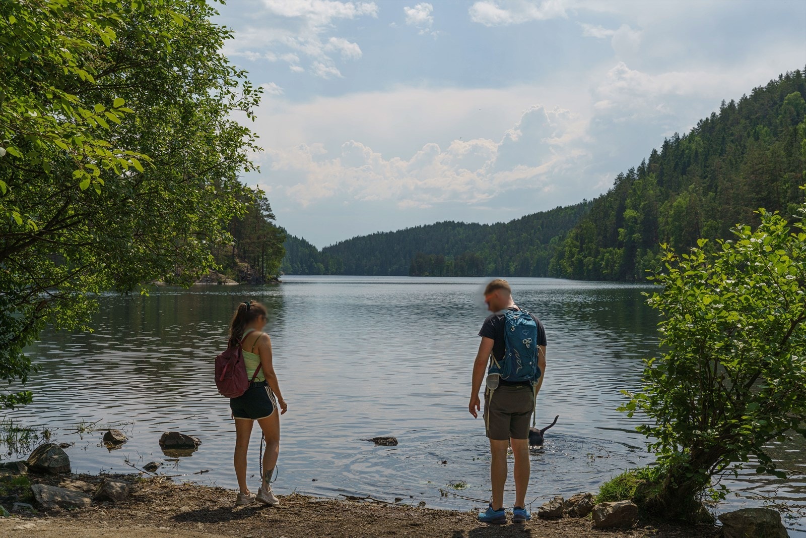 Lutvann Galleribilde