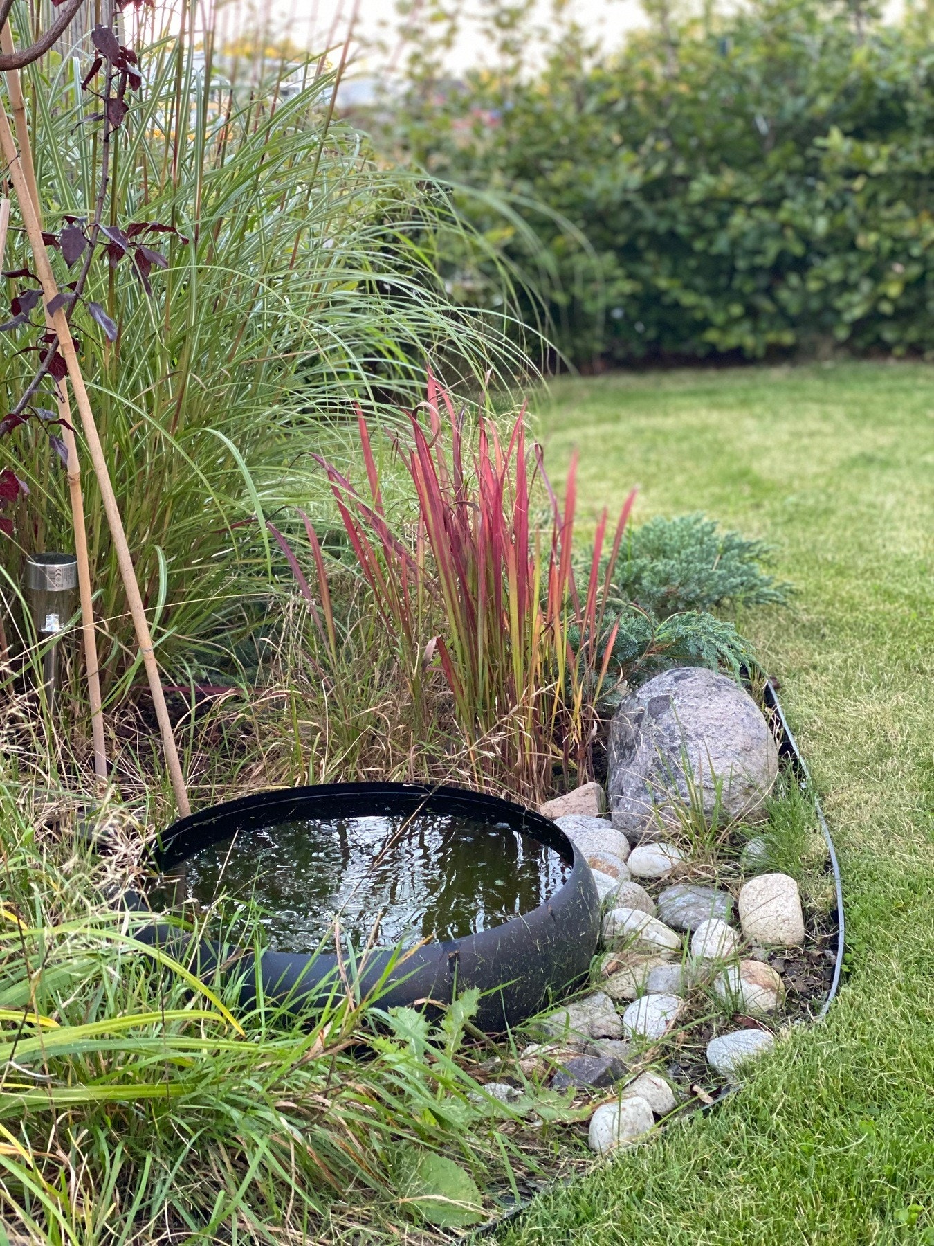 Hagen har en fornuftig størrelse med mulighet for å utforske sine grønne ferdigheter. Her har de minste plass til lek og moro Galleribilde