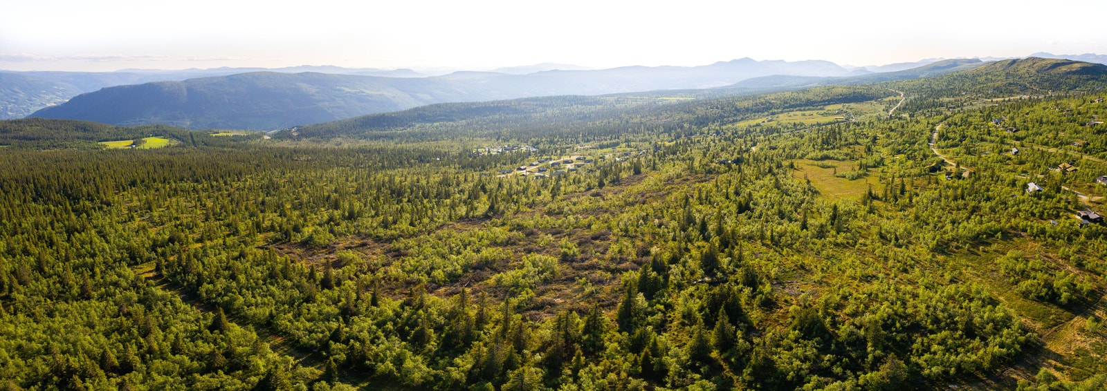 Utsikt fra hyttefelt Galleribilde