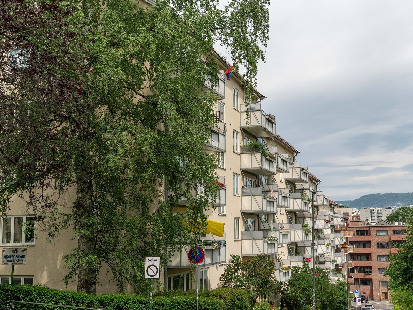 Velkommen til visning! Galleribilde