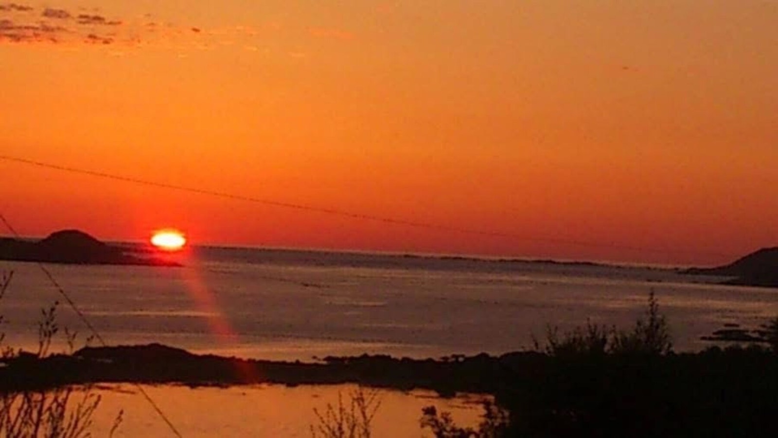 Selgers privatbilde. Galleribilde