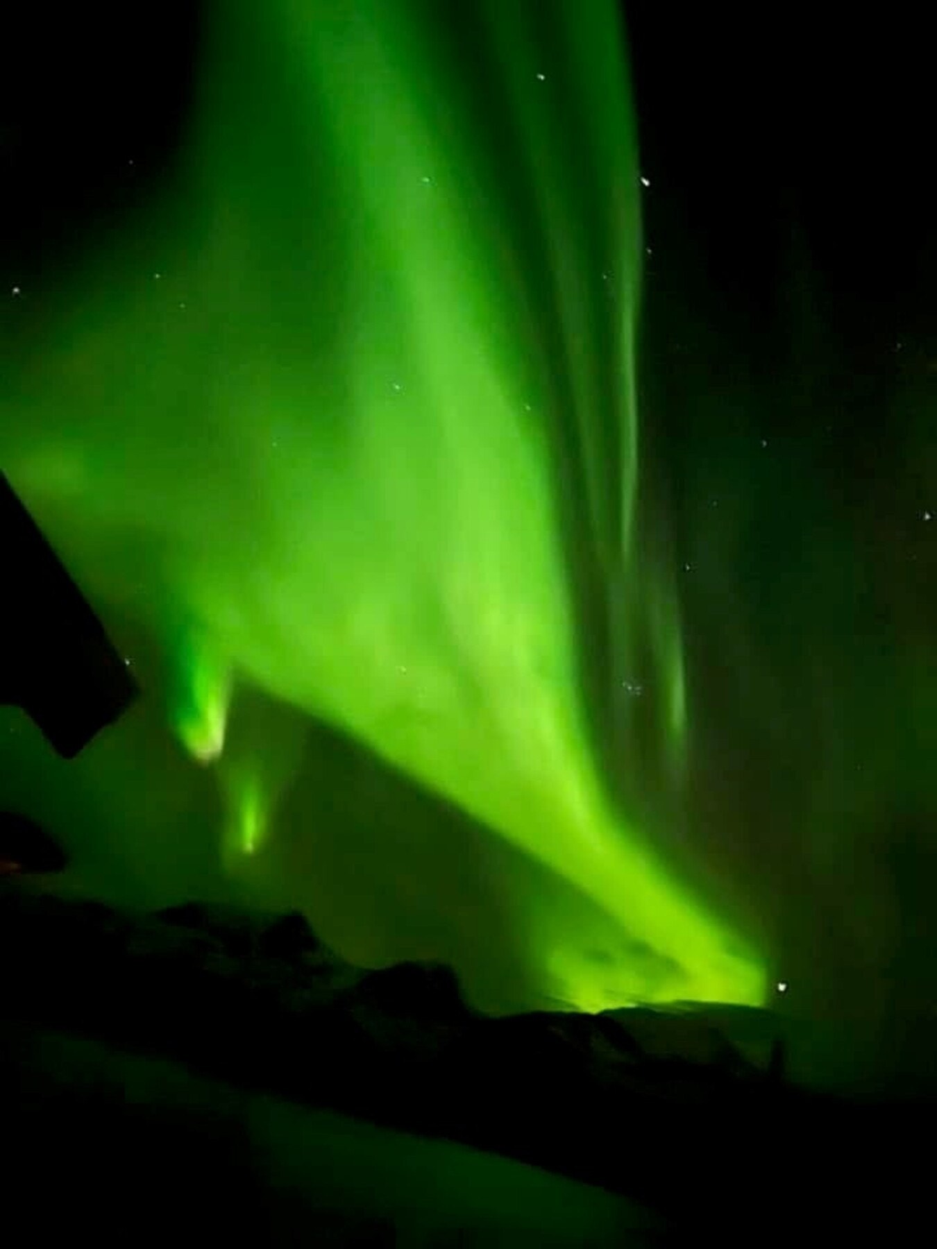 Selgers privatbilde. Galleribilde