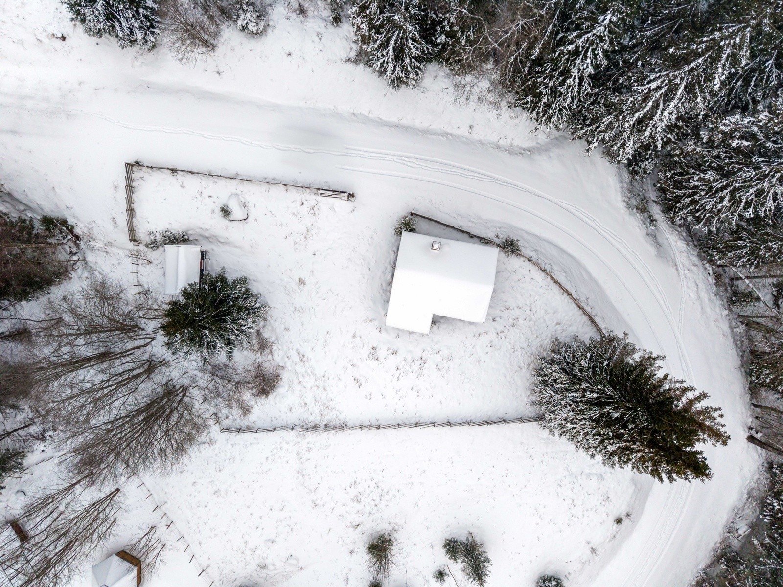 Eiendommen er pent innrammet av skigard, som gir et helhetlig og hyggelig preg. Galleribilde