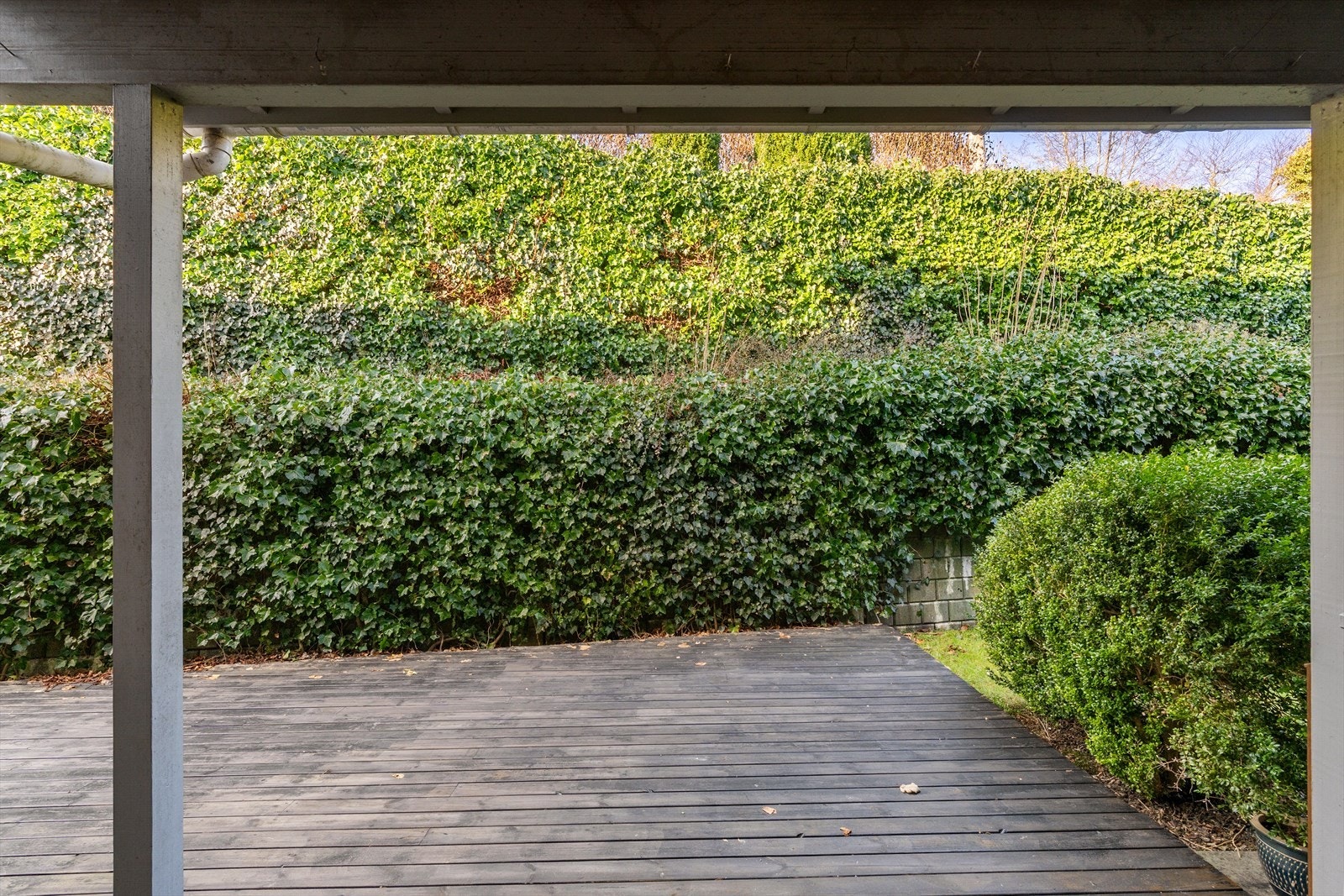 Uteplass Galleribilde