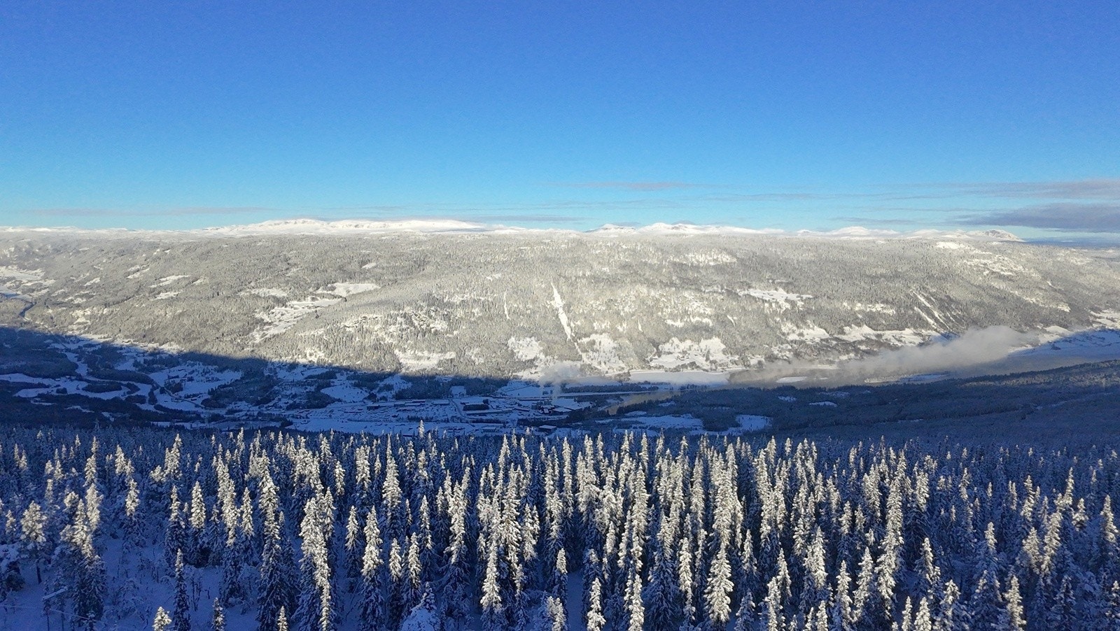 Selgers eget bilde Galleribilde