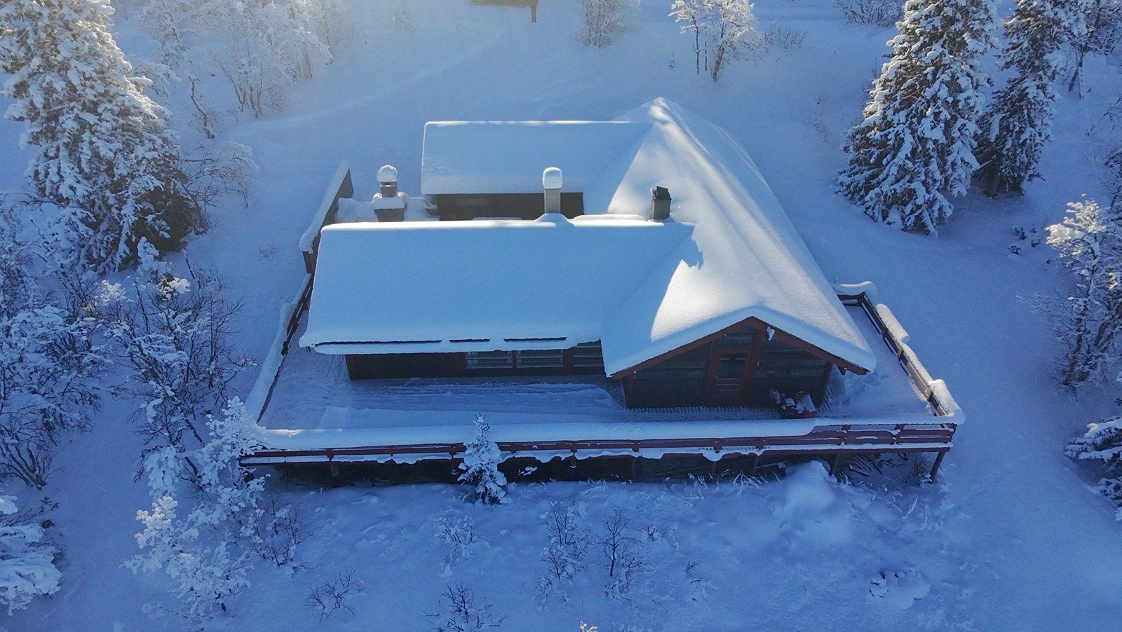 Selgers eget bilde Galleribilde