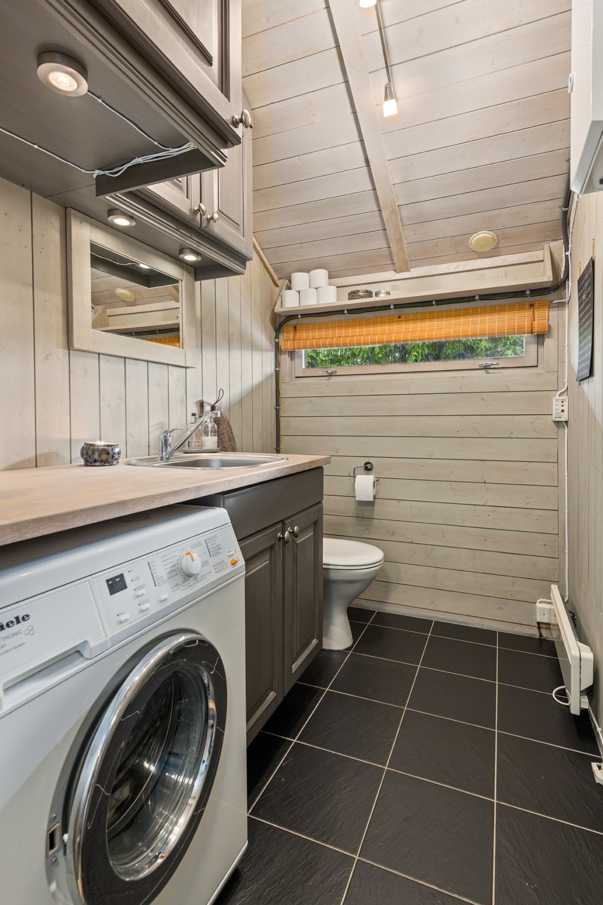 Toalett med vaskemaskin Galleribilde