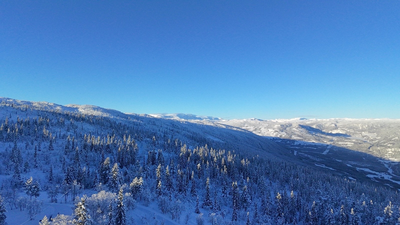 Selgers eget bilde Galleribilde