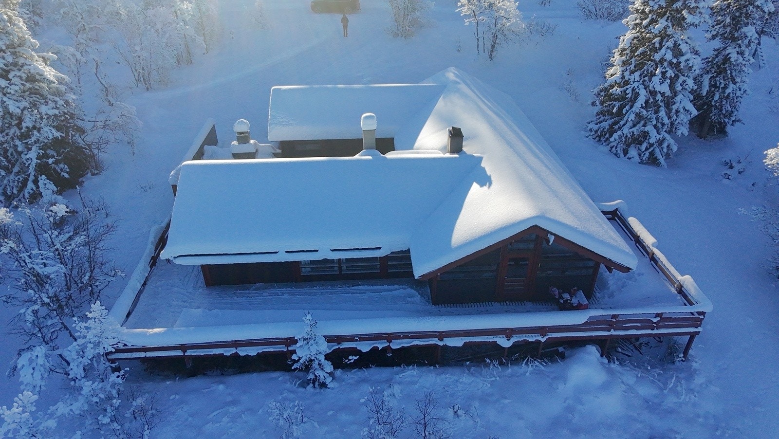 Selgers eget bilde Galleribilde