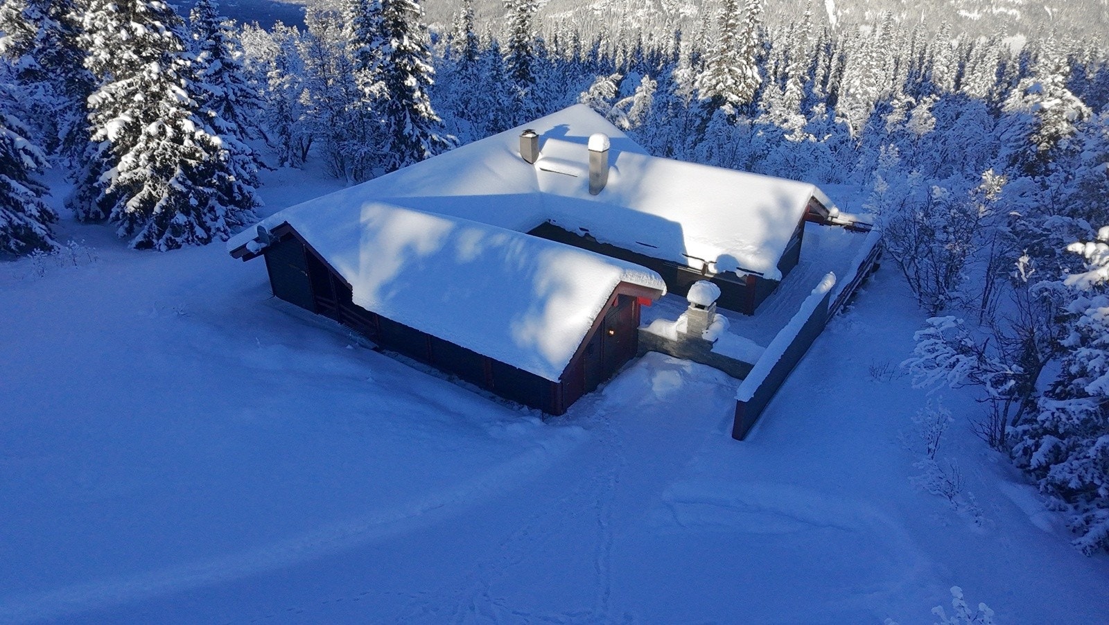 Selgers eget bilde Galleribilde