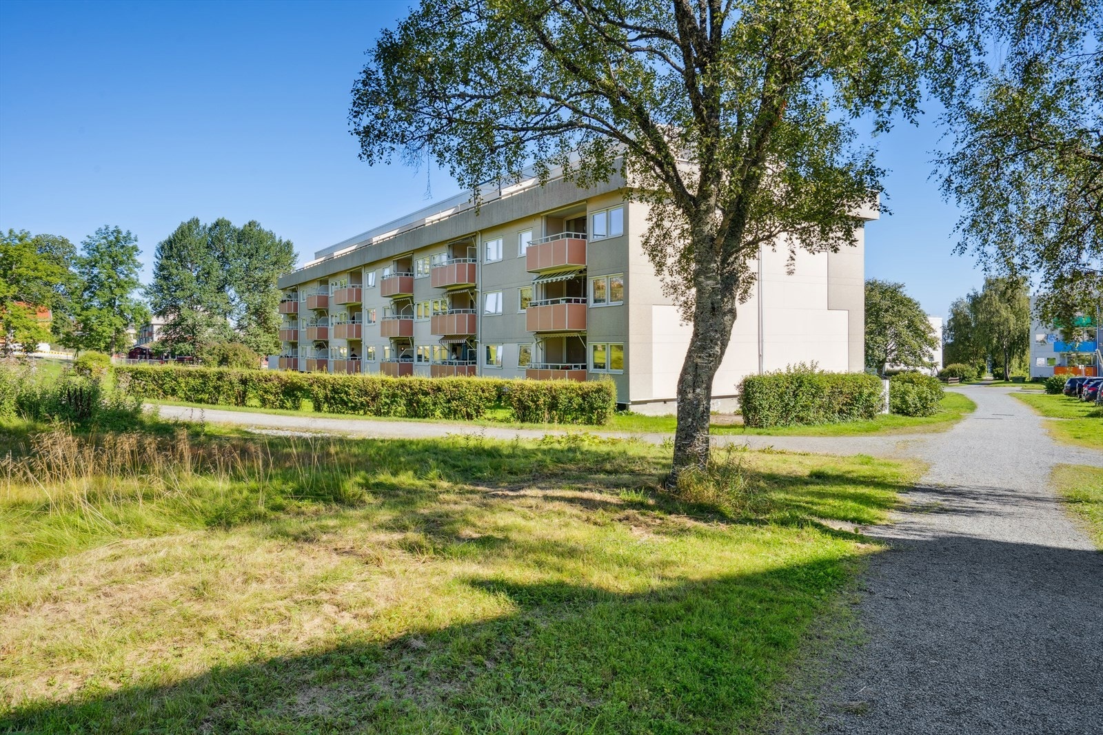 Fra borettslagets felles utearealer. Galleribilde