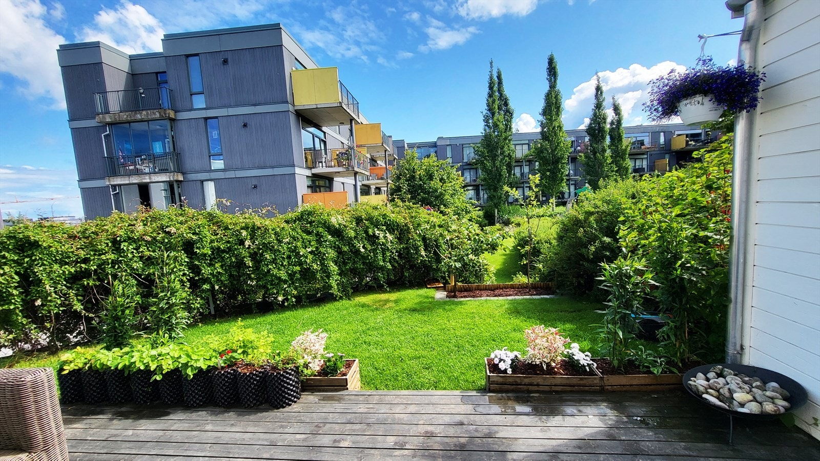 Selgers bilder Galleribilde