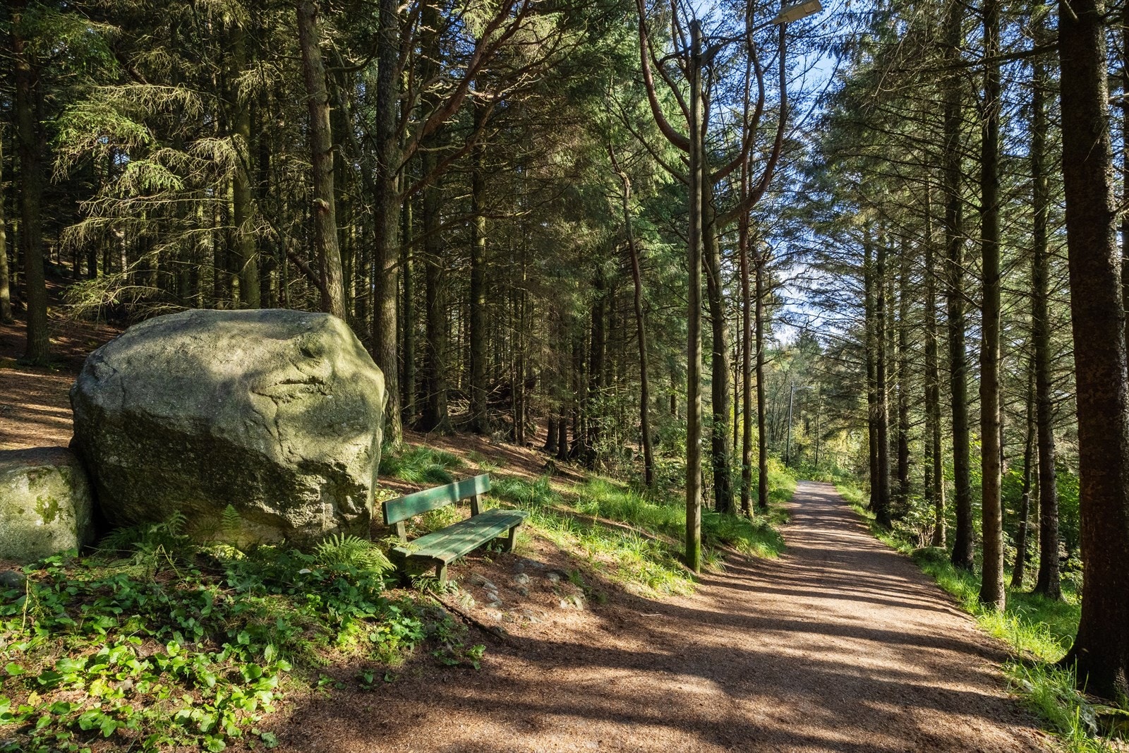 Kort avstand til fine turområder. Galleribilde
