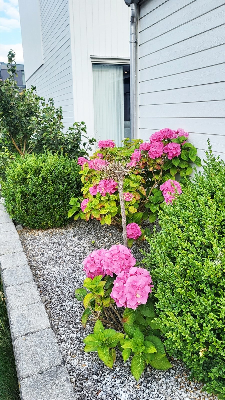 Selgers bilder Galleribilde