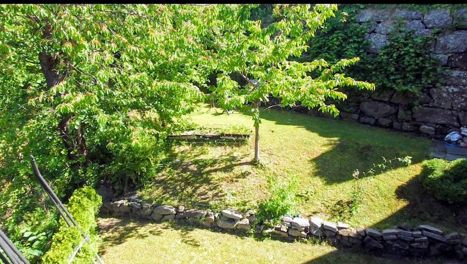 selgers egne bilder Galleribilde