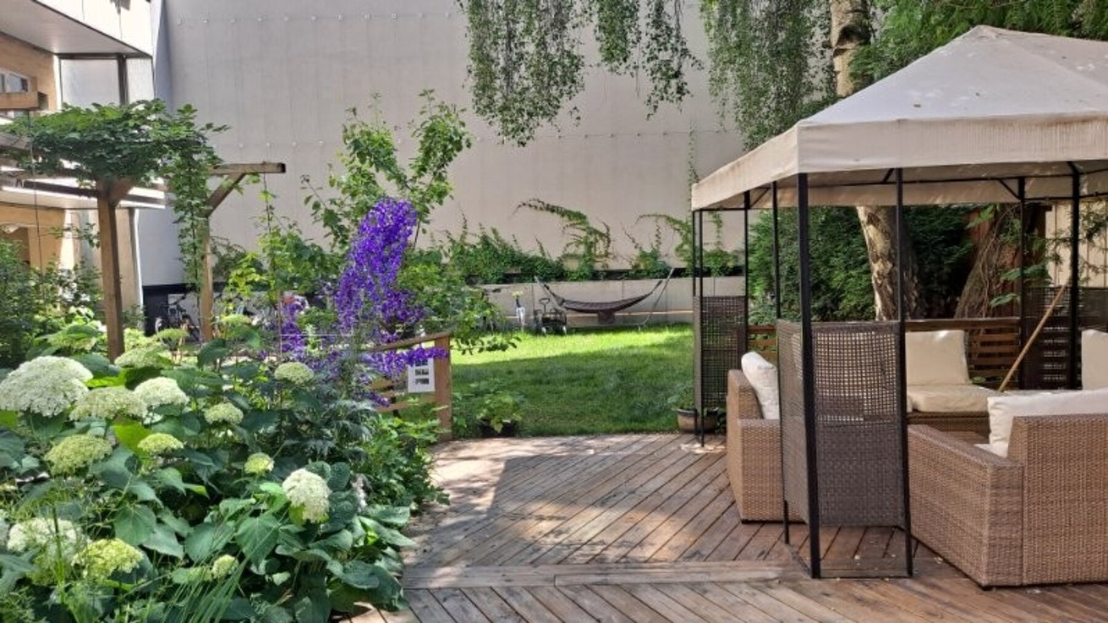 Sommerbilder av bakhagen- tatt av selger Galleribilde