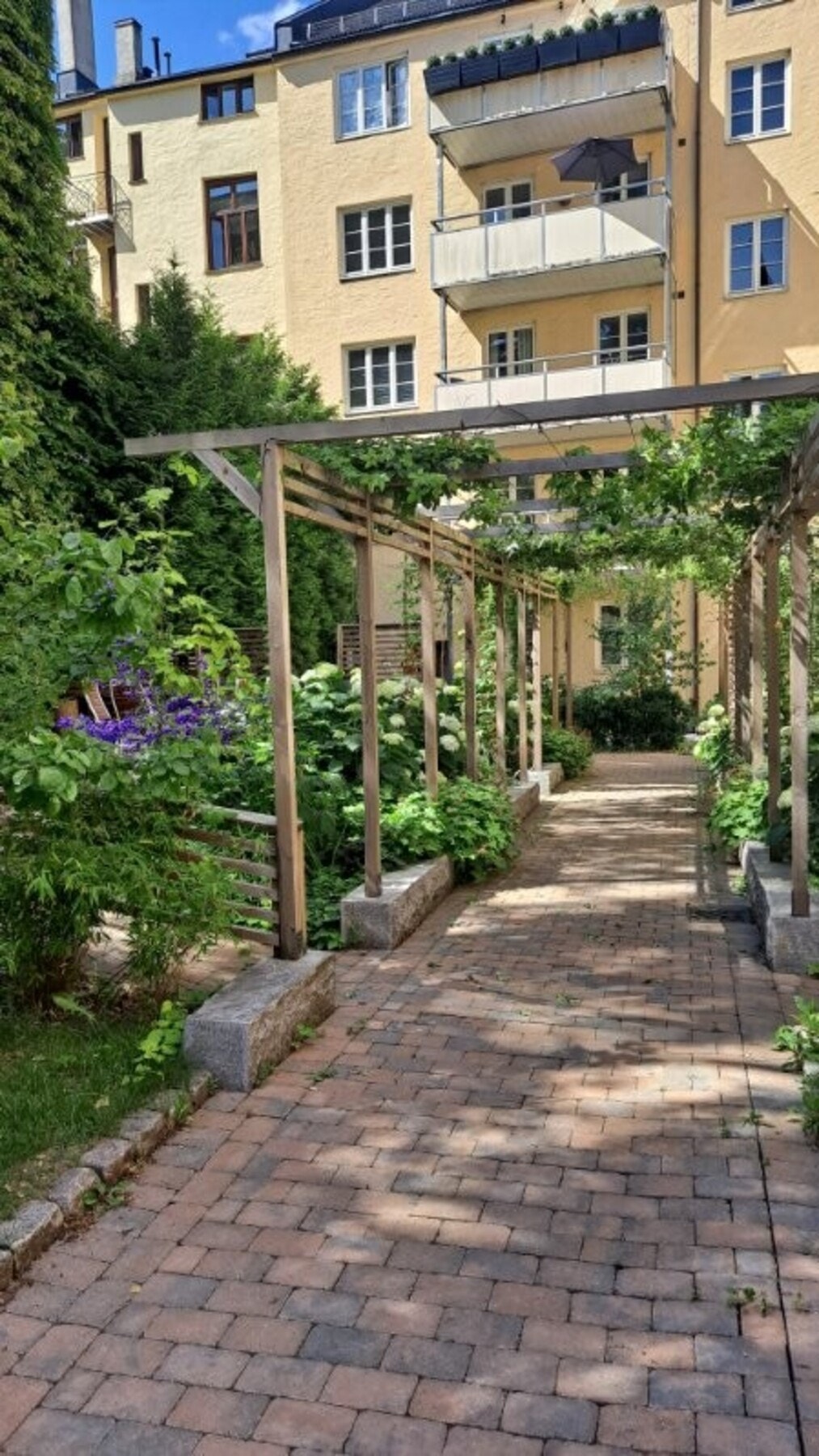 Sommerbilder av bakhagen- tatt av selger Galleribilde