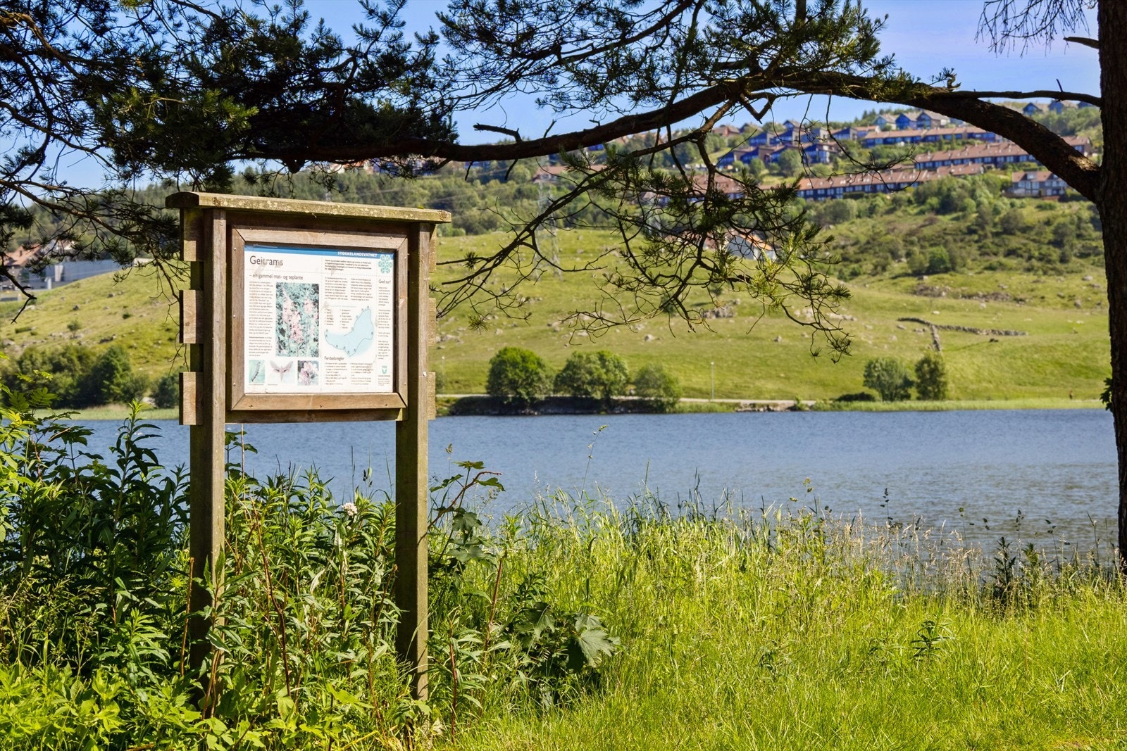 Stokkalandsvatnet er i gangavstand og er meget populært turområde Galleribilde
