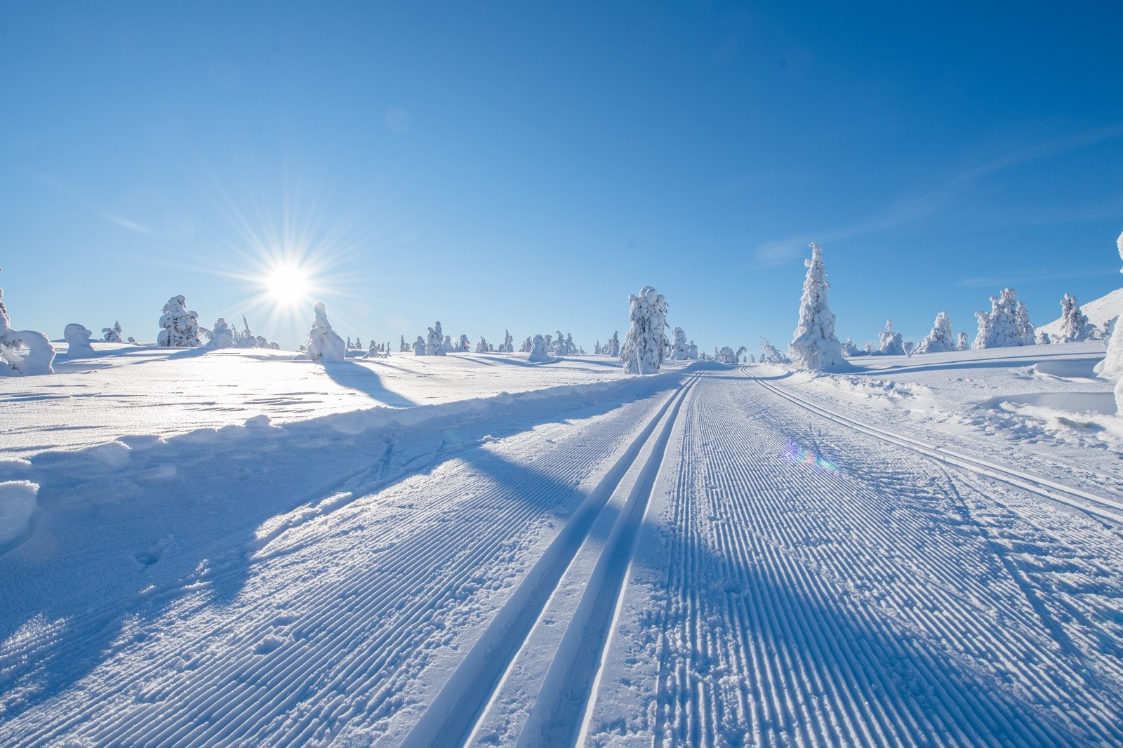 Fageråsen har langrennsløyper i et rikholdig nettverk som tar deg gjennom skog og snaufjell. Galleribilde