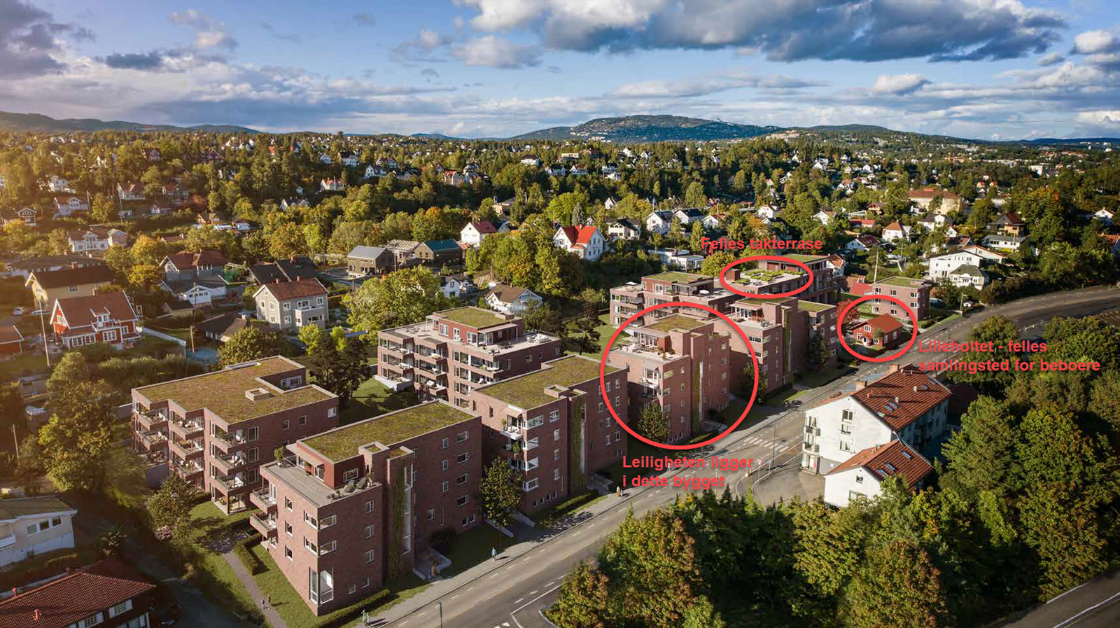 Illustrasjon - Oversikt. Galleribilde