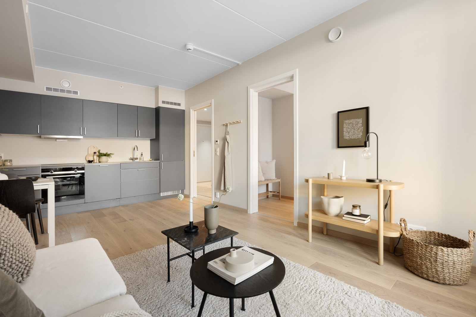 Her kan man innrede med en sofa, mediemøbel og et stue-/kjøkkenbord. Galleribilde