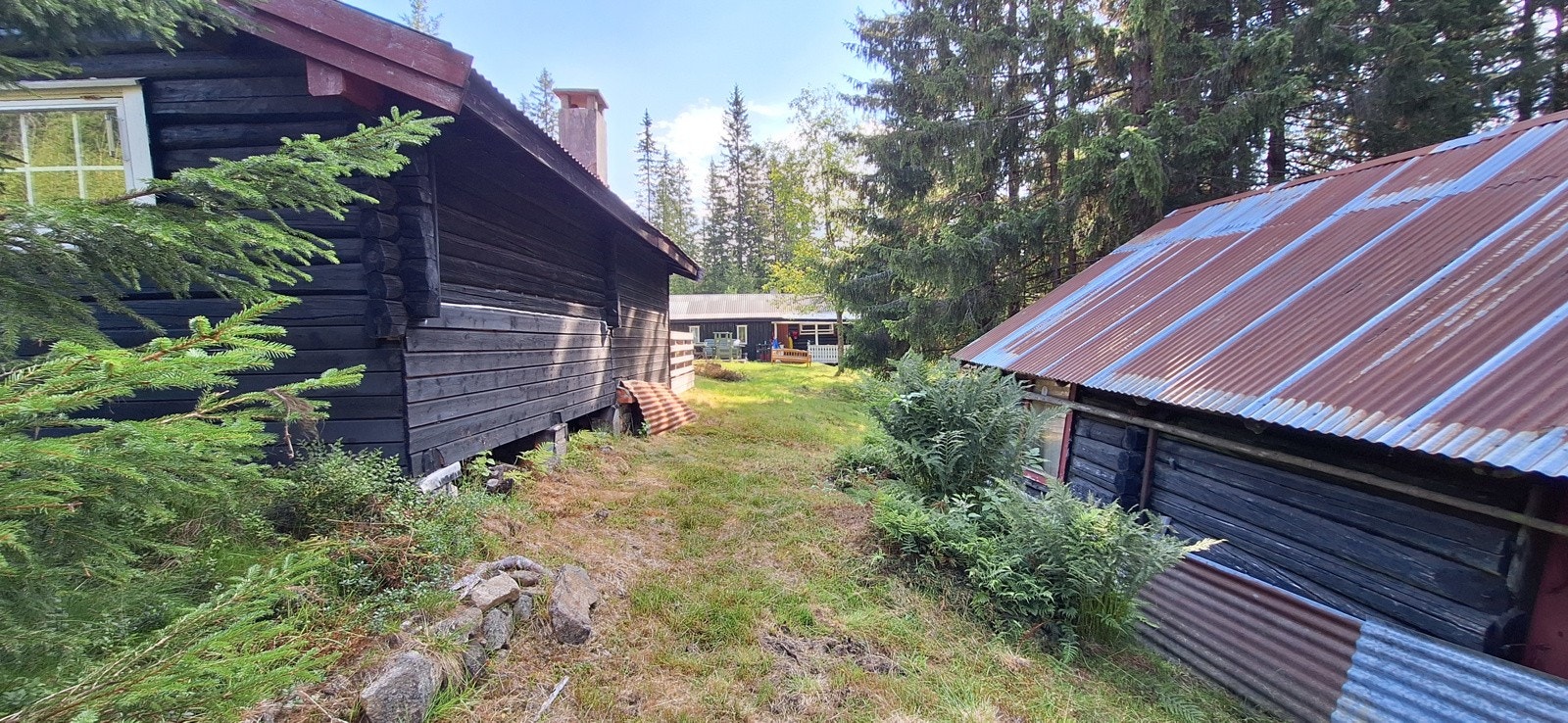 Privat sommerbilde Galleribilde