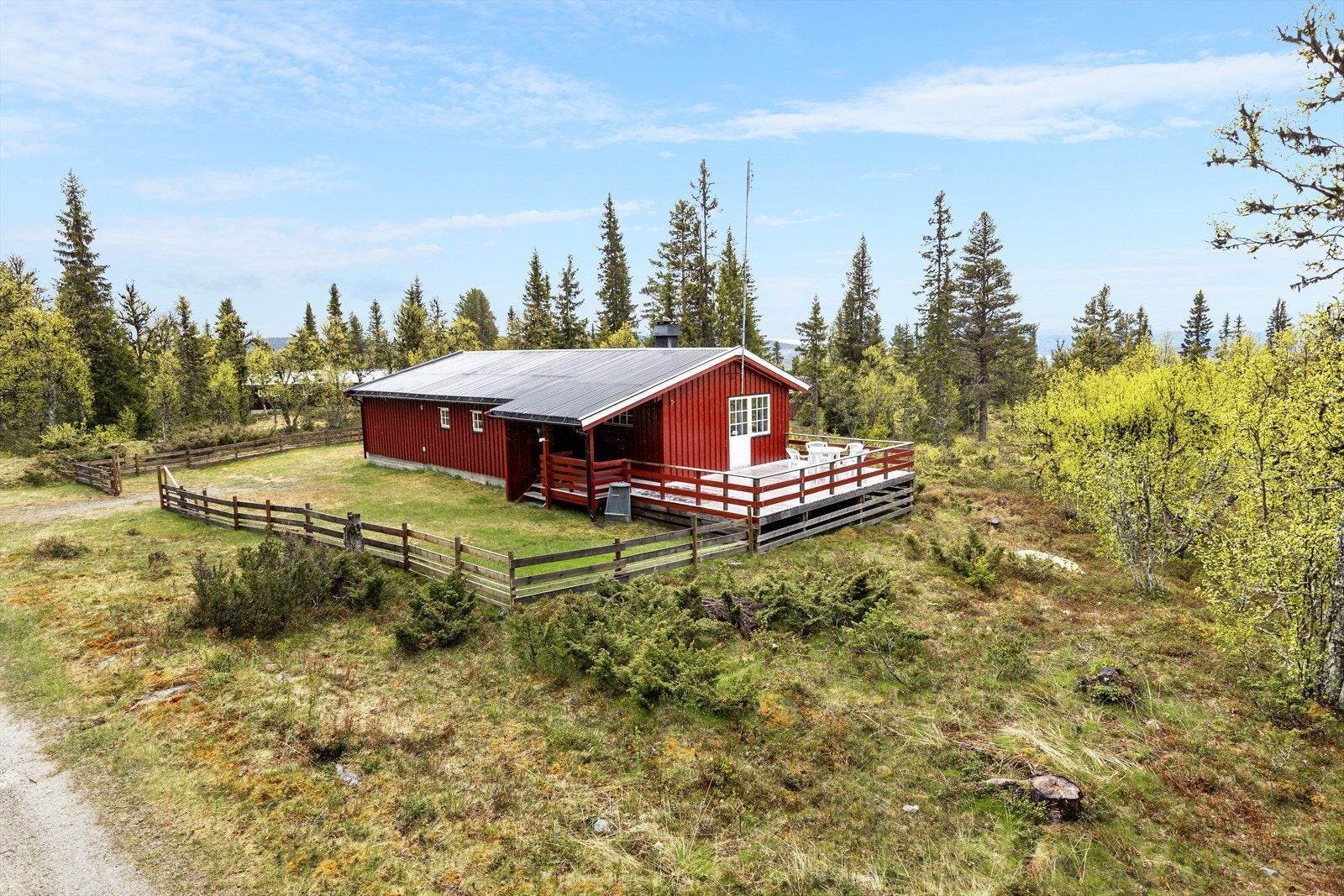 På sommeren er området flott for fotturer og friluftsliv Galleribilde
