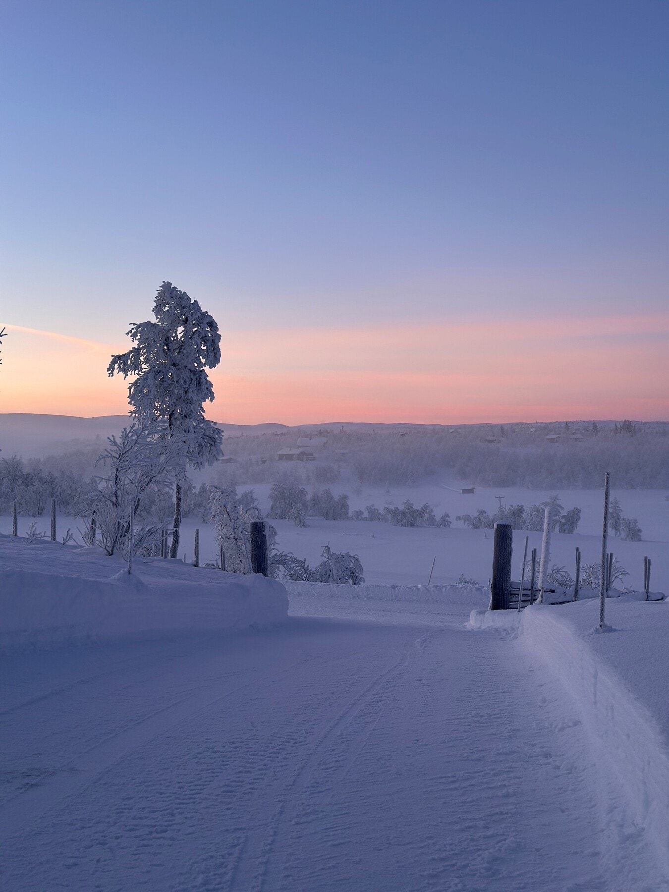 Bilde fra selgers arkiv Galleribilde