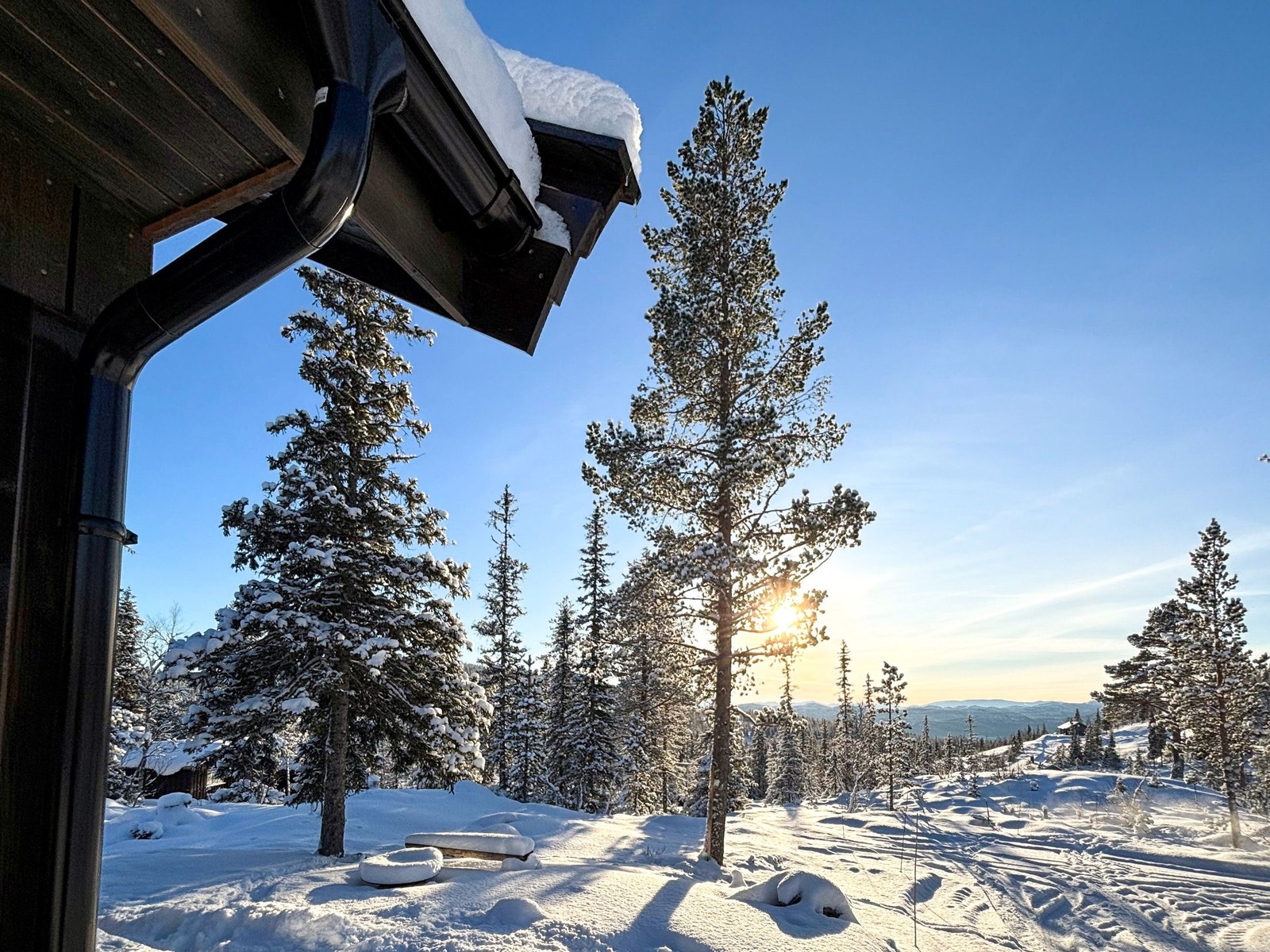 Utsikt mot syd. Det er sol på tomta fra tidlig morgen til sen kveld. Galleribilde
