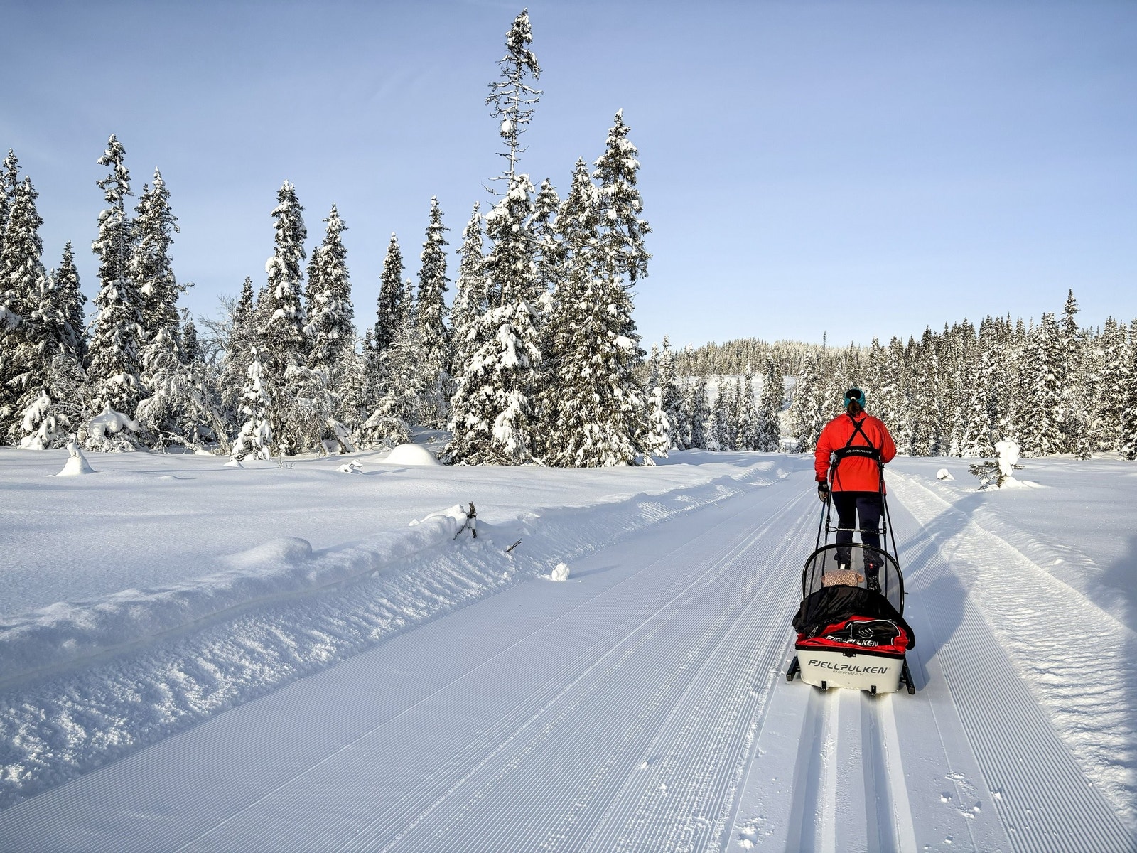 Skiløype rett ved hytta. Galleribilde