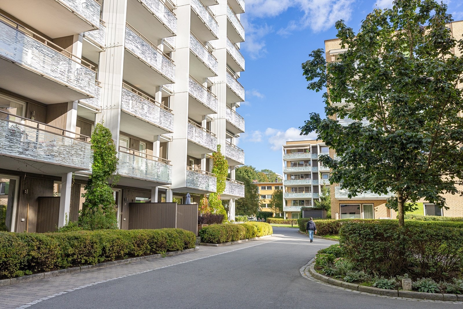 Sameiet er fra 2014 og har en særdeles sentral beliggenhet like ved Lillo gård. Galleribilde