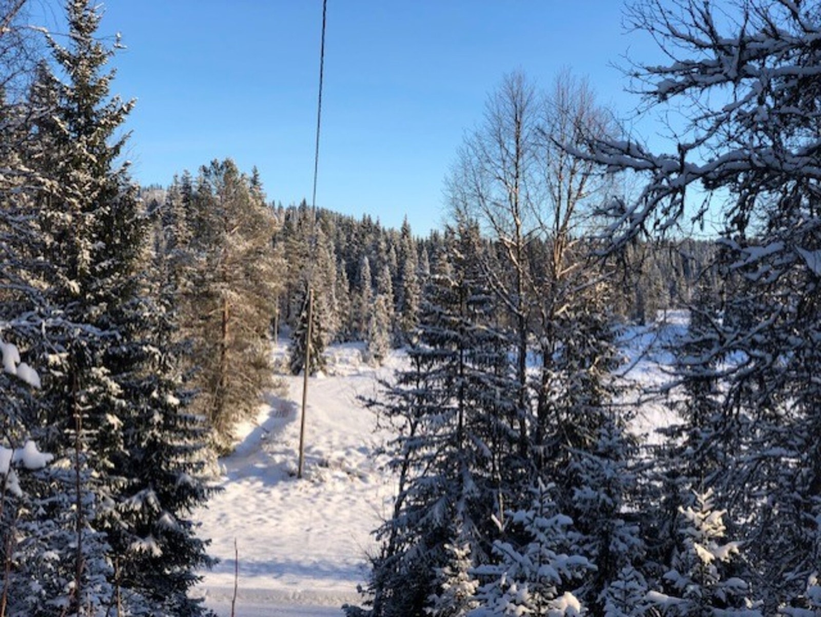 Man kan også spenne på seg skia rett utenfor døra. Privat foto. Galleribilde