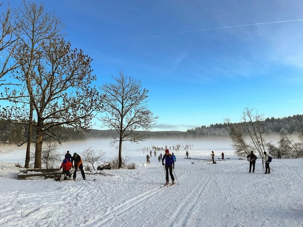 Vinter Østmarka Galleribilde