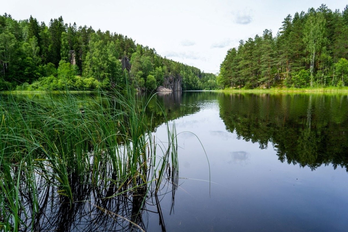 Østmarka Galleribilde