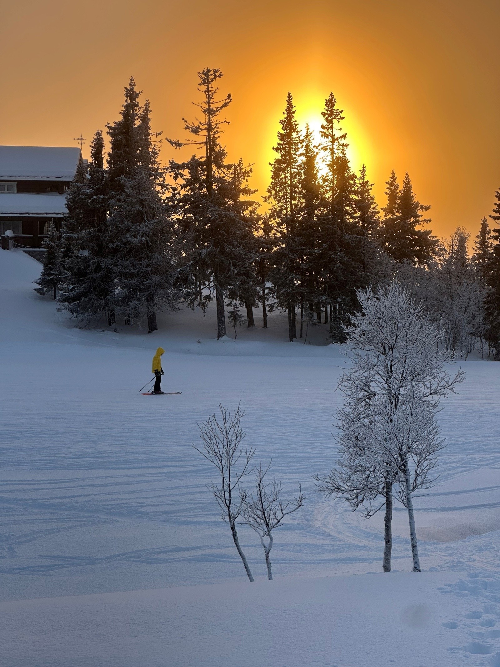 Vintermagi. Galleribilde