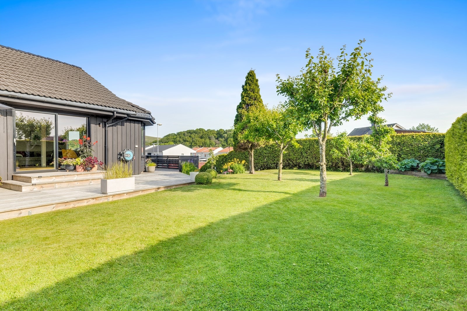 I hagen er det både eple og plommetrær Galleribilde