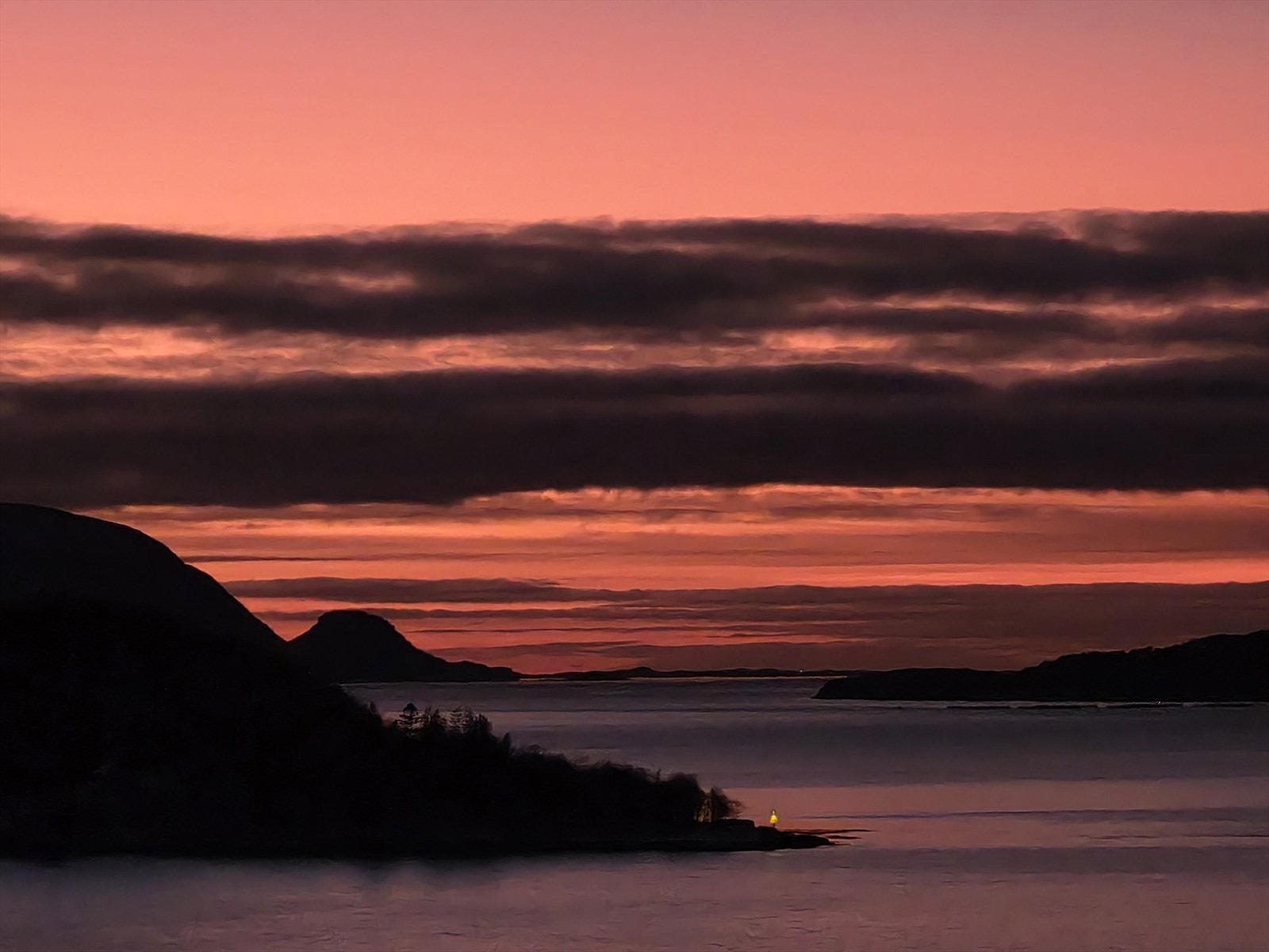 Selgers foto Galleribilde