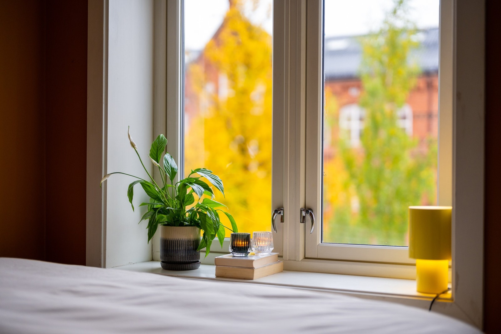 Hyggelig utsyn fra leiligheten! Galleribilde