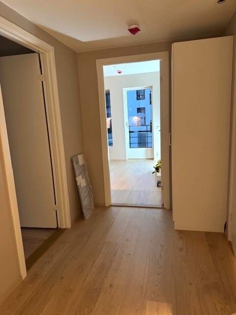 Entre med garderobeskap. Galleribilde